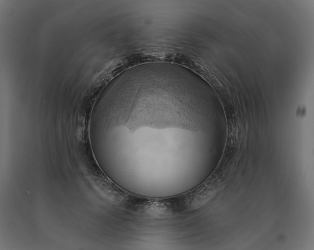 X0000090780656200708031716