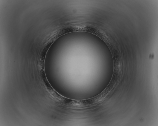 X0000090780658200708031716