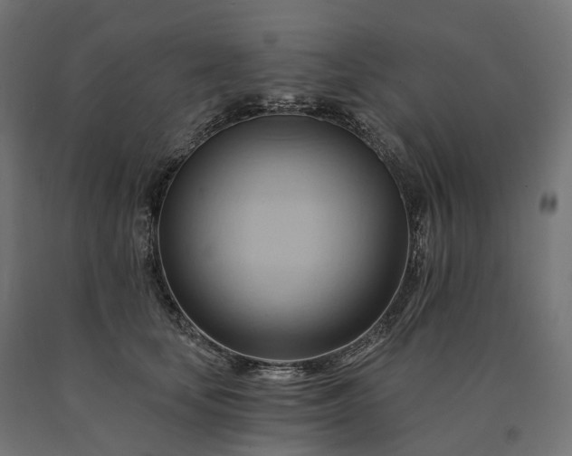 X0000090780659200708031716
