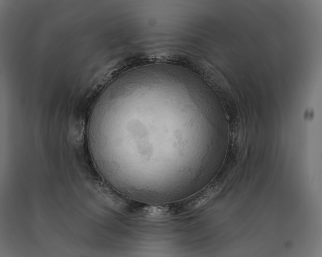 X0000090780660200708031716