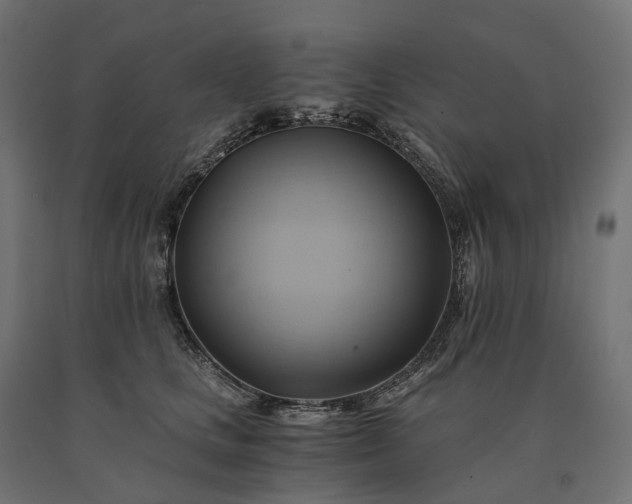 X0000090780661200708031716