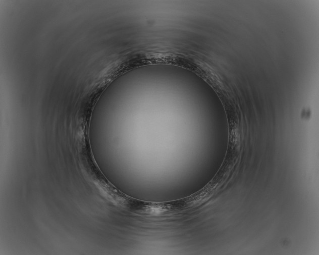 X0000090780662200708031716