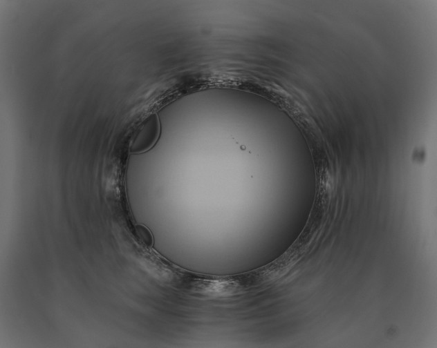 X0000090780663200708031716
