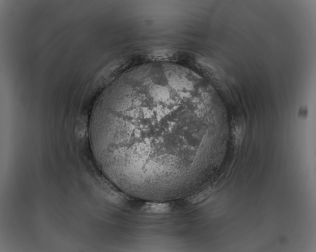X0000090780665200708031716