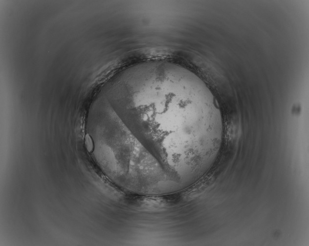 X0000090780666200708031716