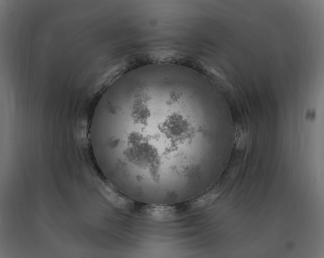 X0000090780670200708031716
