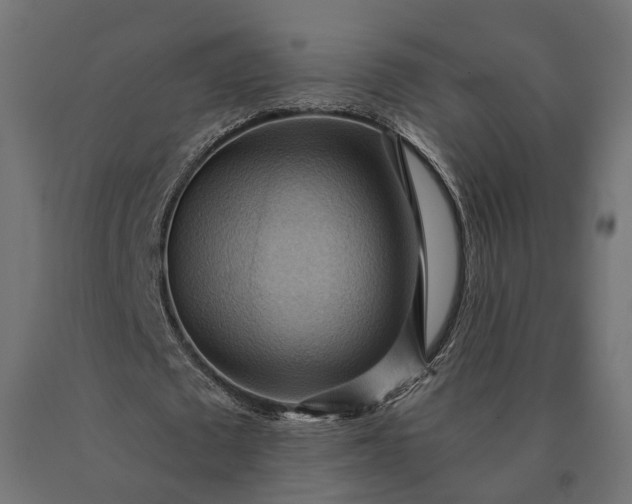 X0000090780673200708031715