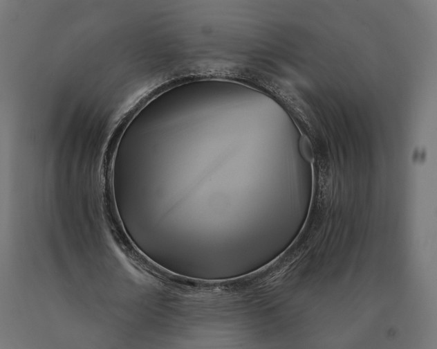 X0000090780674200708031715