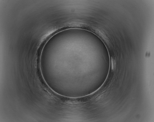 X0000090780675200708031715