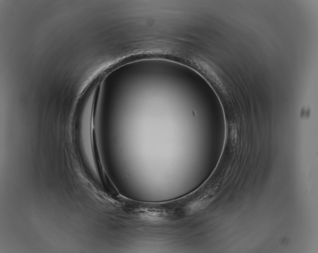 X0000090780676200708031715