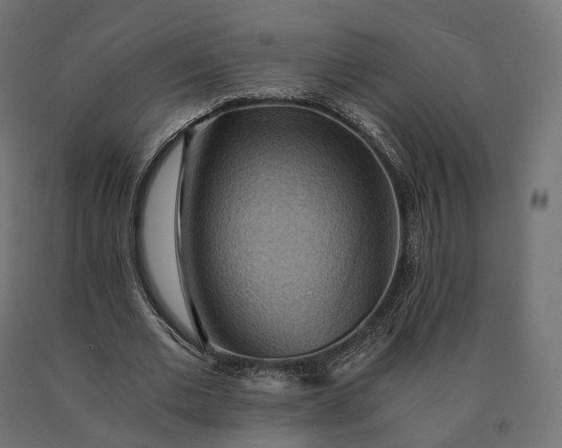 X0000090780677200708031715