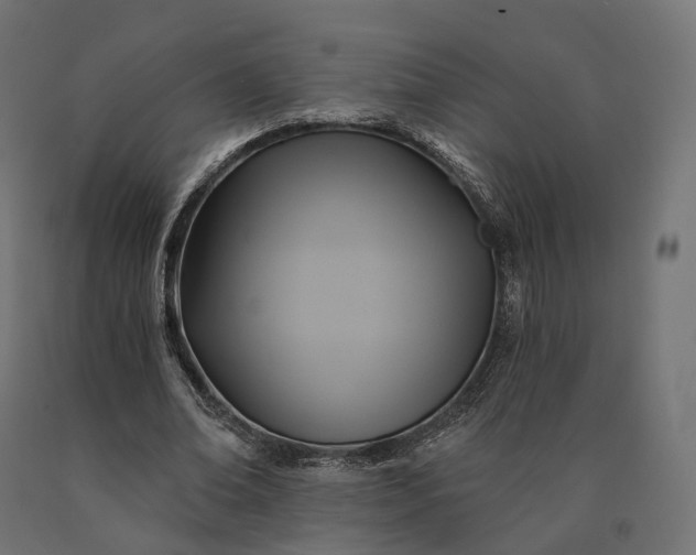X0000090780678200708031715