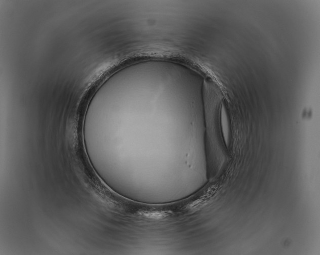 X0000090780679200708031715