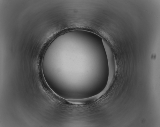 X0000090780680200708031715