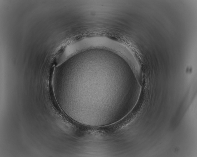 X0000090780681200708031715