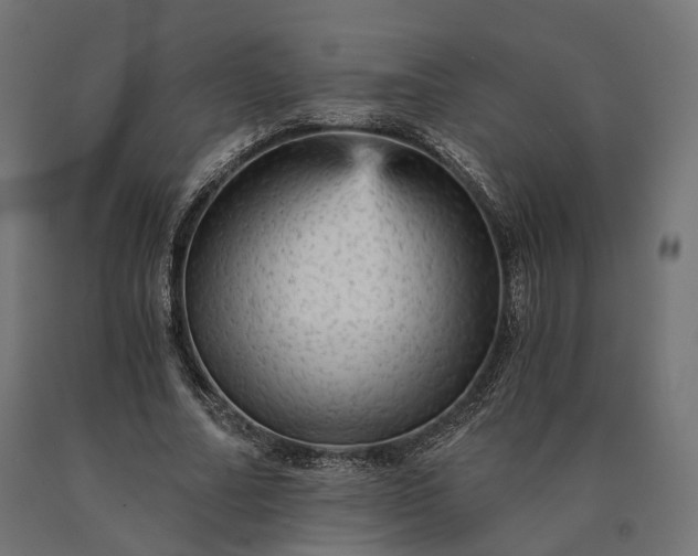 X0000090780682200708031715
