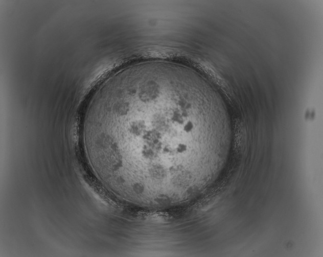 X0000090780683200708031715