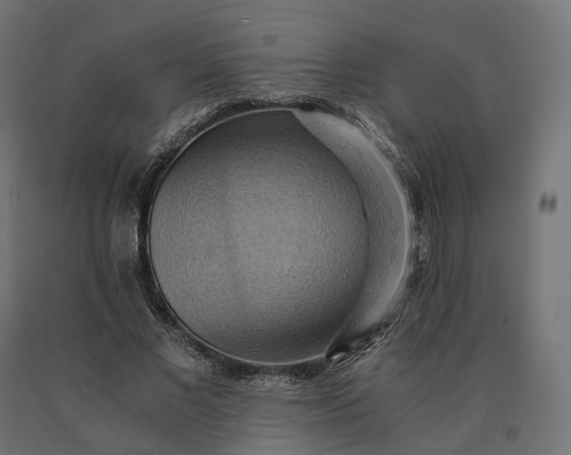 X0000090780685200708031715