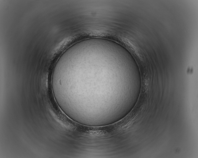 X0000090780686200708031715