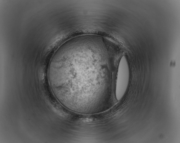 X0000090780687200708031715