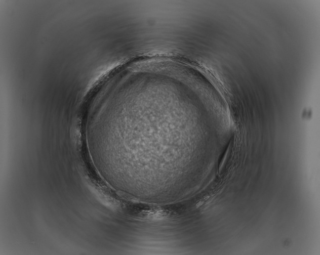 X0000090780688200708031715