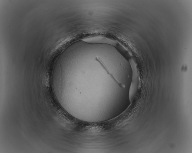 X0000090780689200708031715