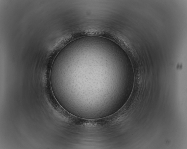 X0000090780690200708031715