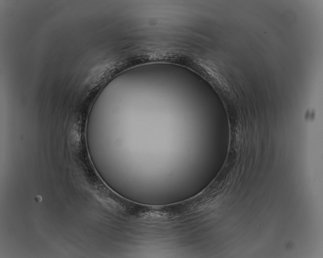 X0000090780691200708031715