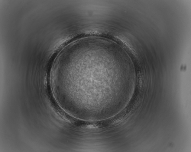 X0000090780692200708031715