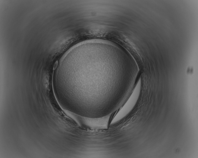 X0000090780693200708031715