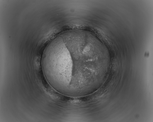X0000090780695200708031715