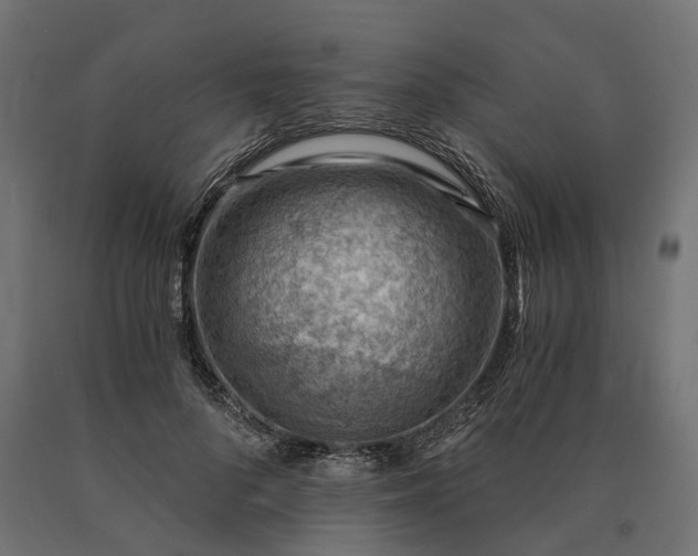 X0000090780696200708031715