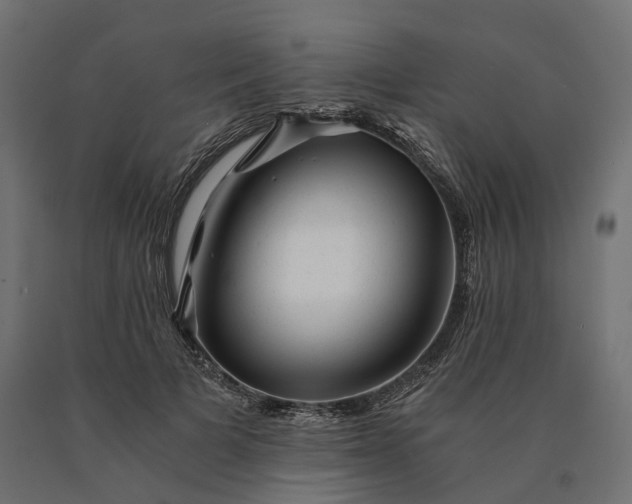 X0000090780697200708031715