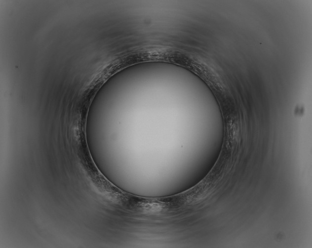 X0000090780698200708031715