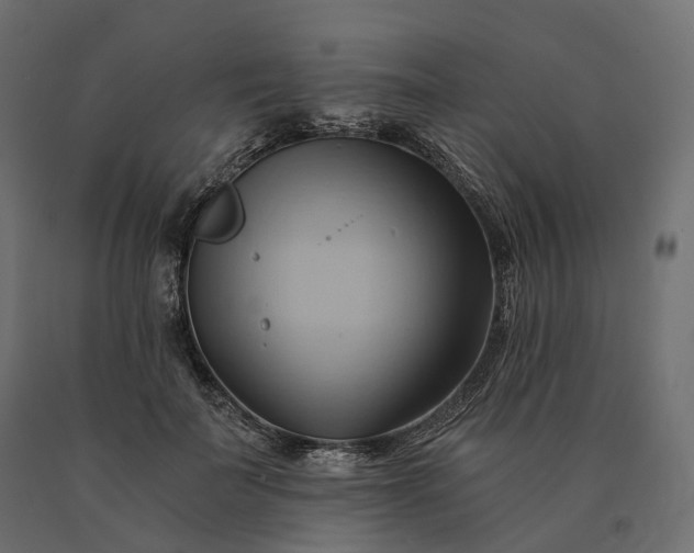 X0000090780699200708031715