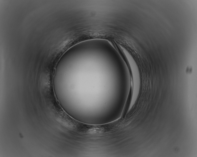 X0000090780700200708031715