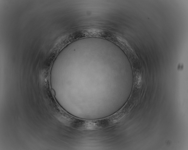 X0000090780701200708031715