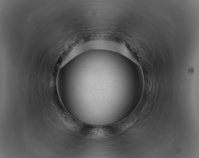 X0000090780704200708031715