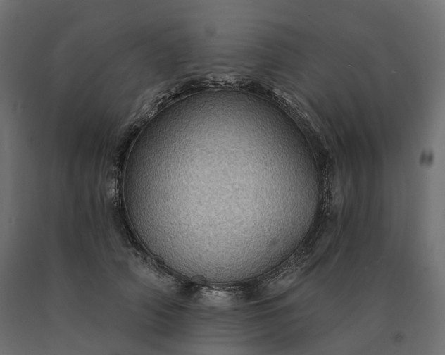 X0000090780706200708031715