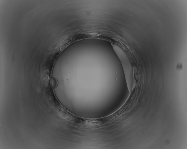 X0000090780707200708031715