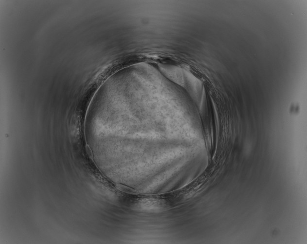 X0000090780708200708031715