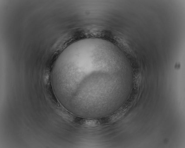 X0000090780709200708031715