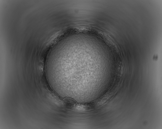 X0000090780710200708031715
