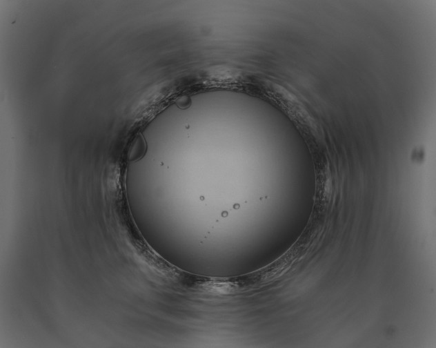 X0000090780711200708031715