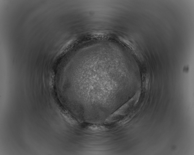 X0000090780712200708031715