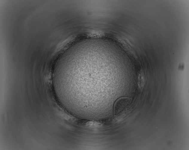 X0000090780714200708031715