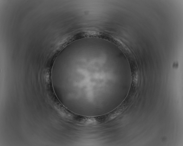 X0000090780715200708031715