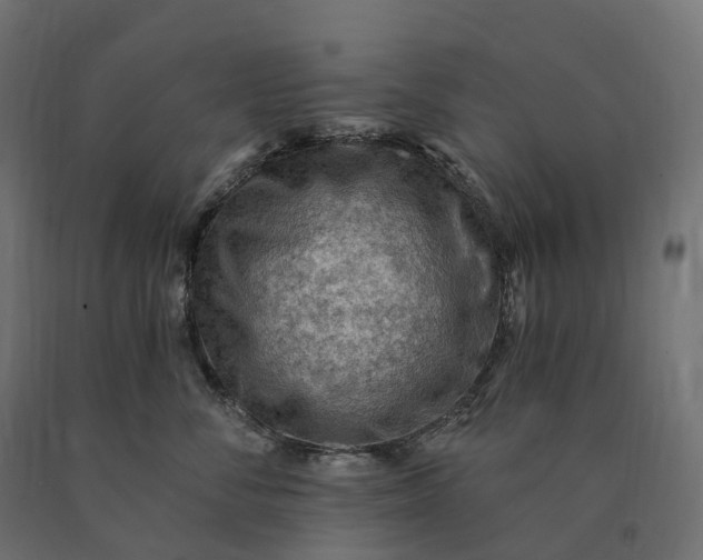 X0000090780716200708031715