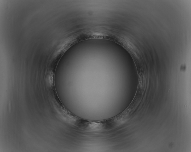 X0000090780718200708031715
