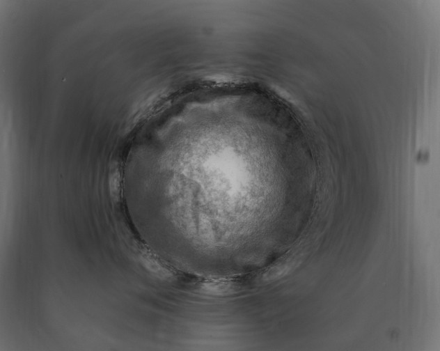 X0000090780720200708031715